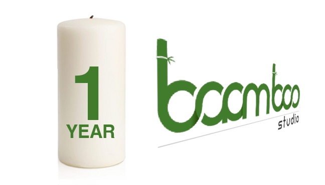 Celebrate Our First Birthday