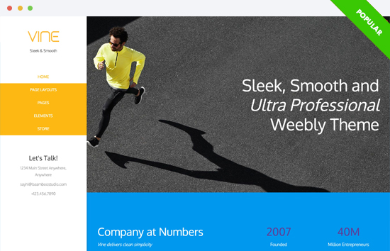 VIne Theme Documentation