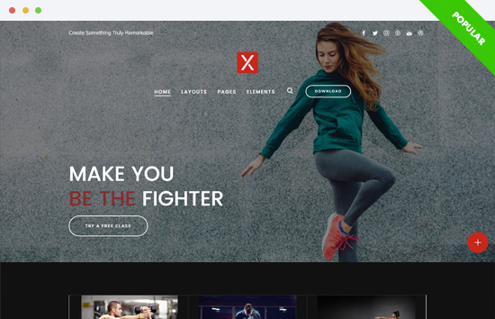 X Theme Documentation