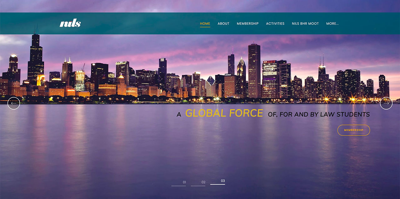 Nils International Website Example