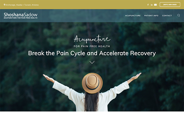 Case study website - Shoshana Sadow