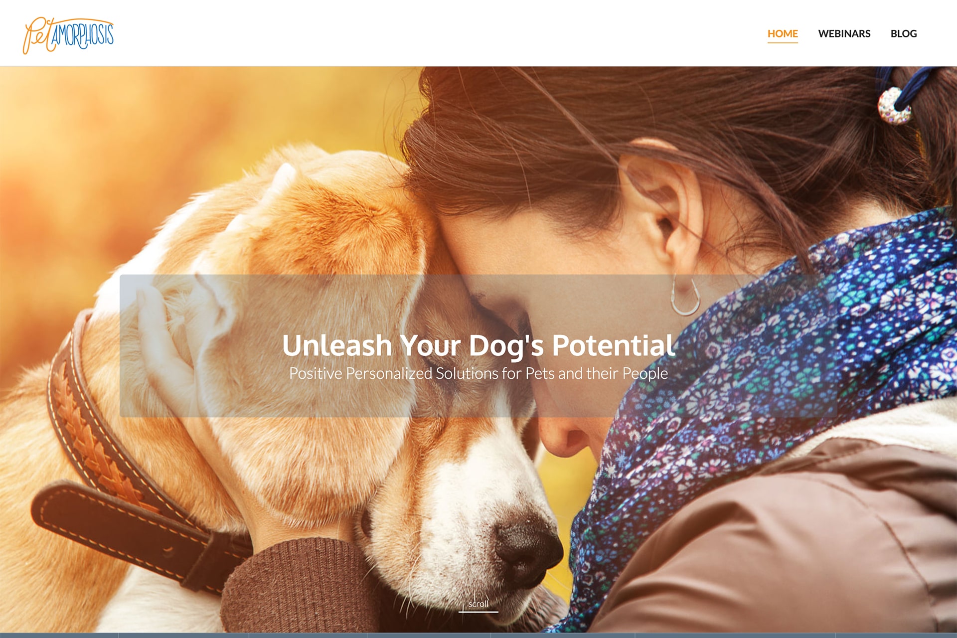 petamorphosis-min Weebly website example 24 - Pet Morphosis