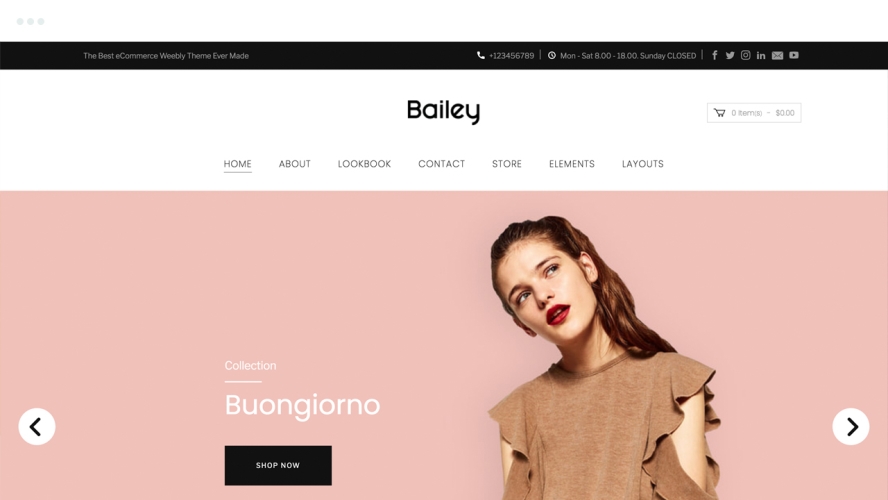 Optimized-baileycover Bailey Weebly Template