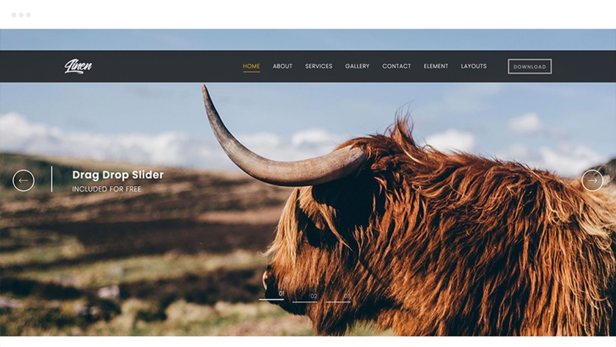 Optimized-linencover Linen Weebly Template